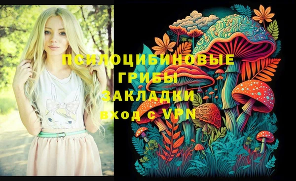 МДПВ Абдулино